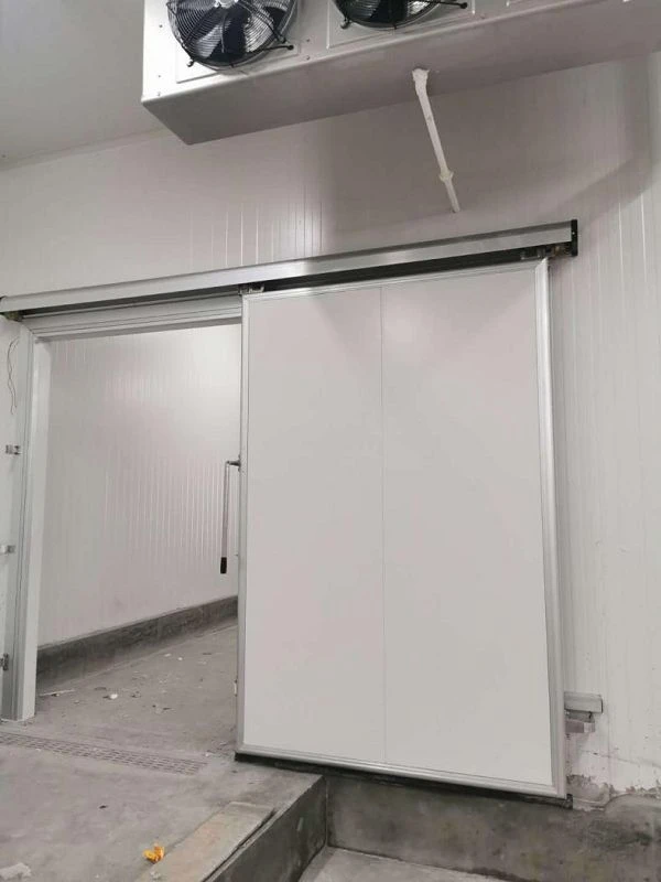 product-600-800 product-600-800