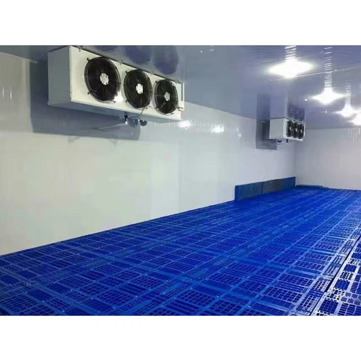 Deep Freezer Cold Room Deep Freezer Cold Room