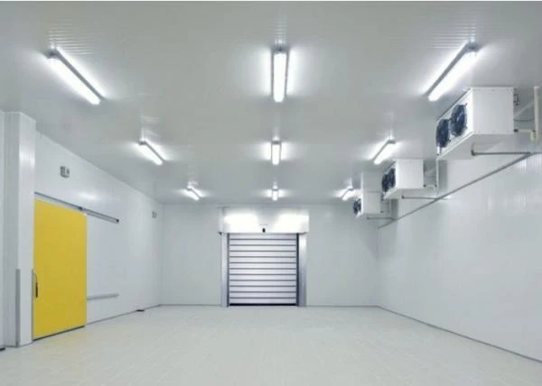 Medium Temperature Cold Room Storage For Fruits
