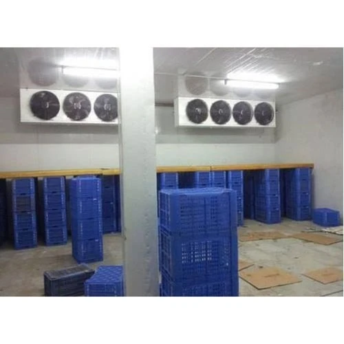 Positive Temperature Walk in Cooler For Vegetable