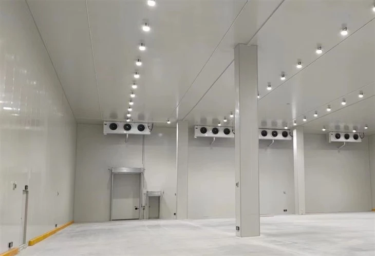 200 Tons Cold Storage Room Walk in Cooler