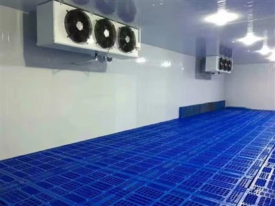 Industrial Cold Storage Room With 100mm PU Panels